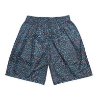 ROYALE. Elefanté Cheetah Mesh Shorts